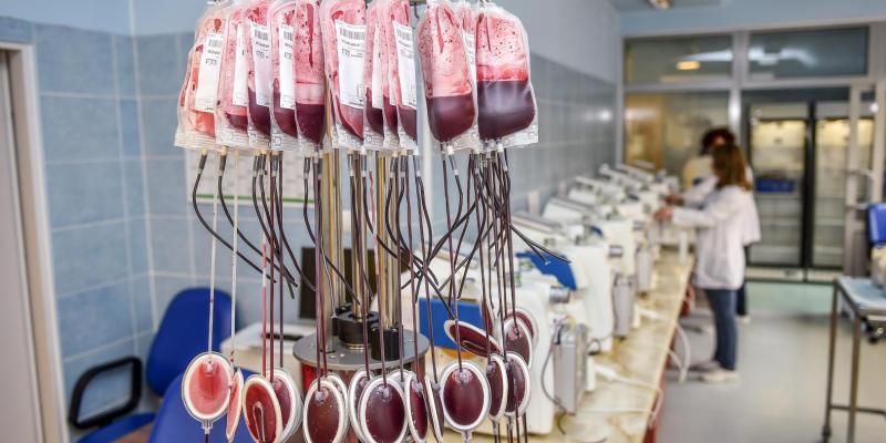 Oddawanie krwi: czy każda choroba dyskwalifikuje? 