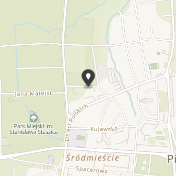 Ochotnicza Straż Pożarna Ratownictwo Wodne w Pile na mapie