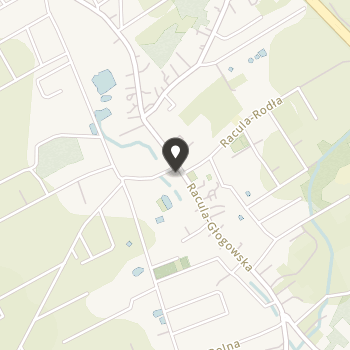 Stowarzyszenie Sportowe "Drzonkowianka" na mapie