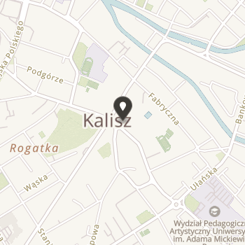 Kaliska Fundacja Kultury na mapie