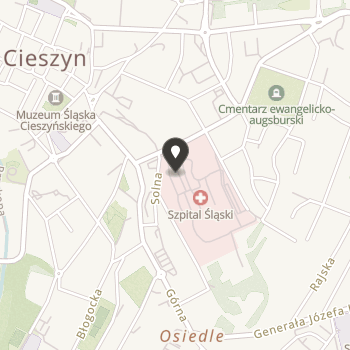 Cieszyńskie Stowarzyszenie Ochrony Zdrowia Psychicznego "Więź" na mapie