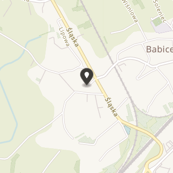 Fundacja Janiny Rembiesa - o Uśmiech Dziecka na mapie