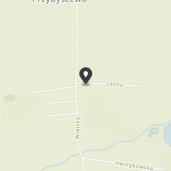 Stowarzyszenie "Zmw" na mapie