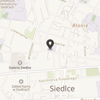 Fundacja "El Greco-Polska" na mapie