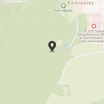 Fundacja Benevolens na mapie