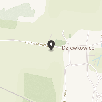 Stowarzyszenie na Rzecz Rozwoju Wsi Dziewkowice na mapie