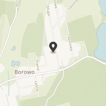 Stowarzyszenie dla Borowa na mapie