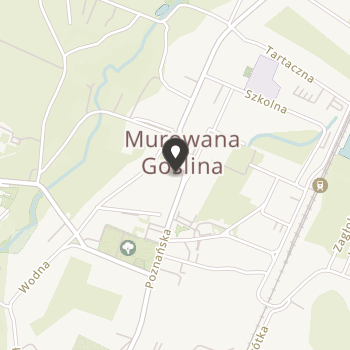 Fundacja Dwunastka na mapie