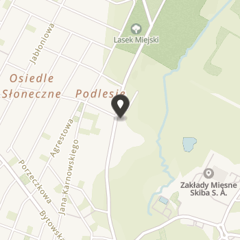 Chojnickie Stowarzyszenie Miłośników Kolei na mapie