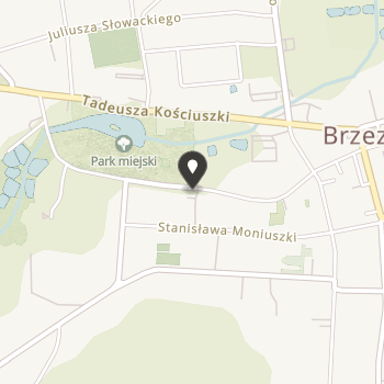 Stowarzyszenie Ochrony Zabytków i Rozwoju Brzezin na mapie