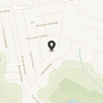 Fiori Musicali na mapie