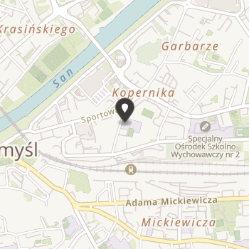 Stowarzyszenie na Rzecz Wspierania Dzieci i Młodzieży Specjalnego Ośrodka Szkolno-Wychowawczego nr 1 im. Marii Grzegorzewskiej w Przemyślu na mapie