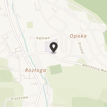 Dolnośląskie Stowarzyszenie Aktywizacji Niepełnosprawnych na mapie