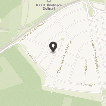 Fundacja Dzieciaki i Zwierzaki na mapie