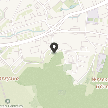 Brzostek Top Team na mapie