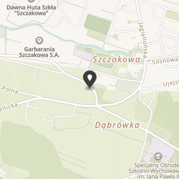 Fundacja Developmental Neuro-Motor Stimulation Institute na mapie