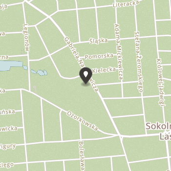 Eleos - Prawosławny Ośrodek Miłosierdzia Diecezji Łódzko - Poznańskiej na mapie