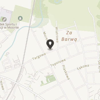 Stowarzyszenie Sami Swoi Niepełnosprawni w Mosinie na mapie