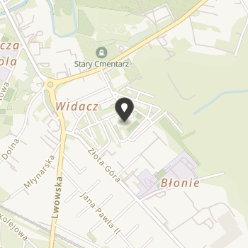 Stowarzyszenie Profilaktyki i Wspierania Rozwoju Osobowości Dzieci i Młodzieży "Wzrastanie" na mapie