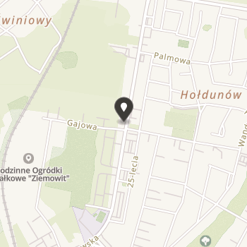 Lędzińskie Stowarzyszenie na Rzecz Osób Niepełnosprawnych i Ich Rodzin na mapie