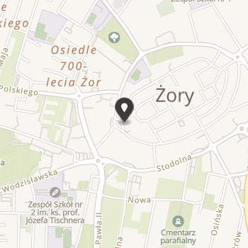 Stowarzyszenie "Bezpieczne Miasto" w Żorach na mapie