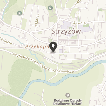 Stowarzyszenie "Nasze Zdrowie" w Strzyżowie w Likwidacji na mapie