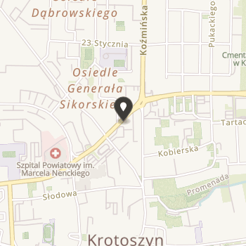 Lions Club Krotoszyn na mapie