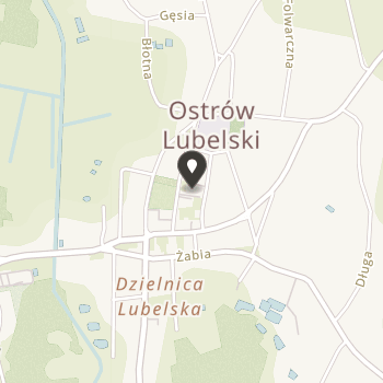 Towarzystwo Ziemi Ostrowa Lubelskiego na mapie