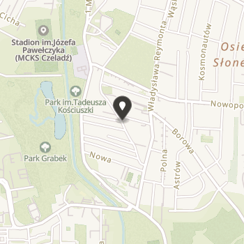 Czeladzkie Stowarzyszenie Pomocy Osobom z Upośledzeniem Psycho - Ruchowym na mapie