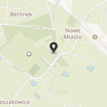 Towarzystwo Gimnastyczne "Sokół" we Włoszakowicach na mapie