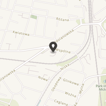 Stowarzyszenie "Promocja Rozwoju Dziecka i Rodziny" im. Bł. Edmunda Bojanowskiego w Ostrowie Wielkopolskim na mapie