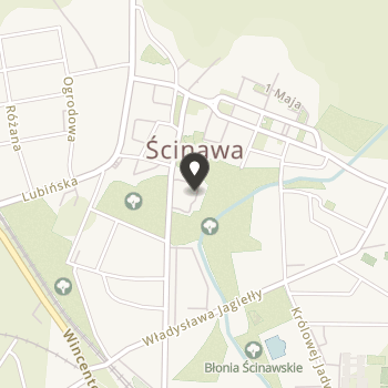 Stowarzyszenie "Równe Szanse" w Ścinawie na mapie