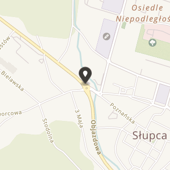 Stowarzyszenie Ds. Walki z Nowotworami Oraz Chorobami Układu Oddechowego im. dr. Romana Grzeszczaka na mapie