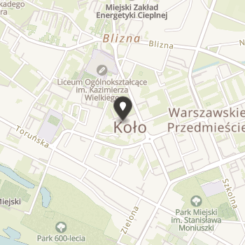 Polskie Stowarzyszenie na Rzecz Osób z Niepełnosprawnością Intelektualną Koło w Kole na mapie