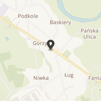 Towarzystwo Pomocy im. św. Brata Alberta Koło Gorzyckie w Likwidacji na mapie