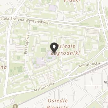 Stowarzyszenie Pomocy Dzieciom i Osobom Starszym "Puls" na mapie