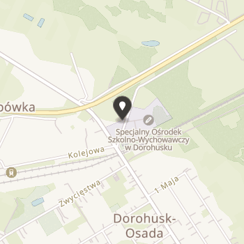 Stowarzyszenie na Rzecz Specjalnego Ośrodka Szkolno - Wychowawczego w Dorohusku "Pomocna Dłoń" na mapie