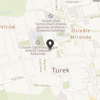 Ochotnicza Straż Pożarna w Turku na mapie