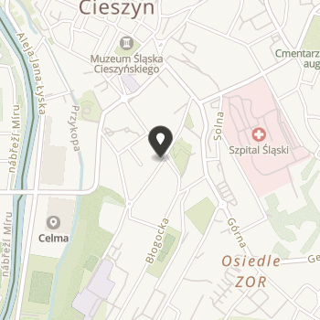 Towarzystwo Ewangelickie im. Ks. Franciszka Michejdy na mapie