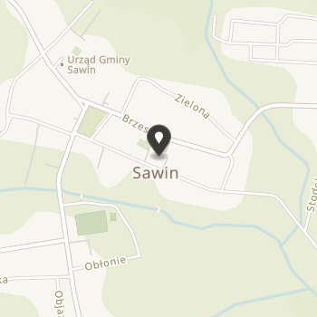 Regionalne Towarzystwo Gminy Sawin na mapie