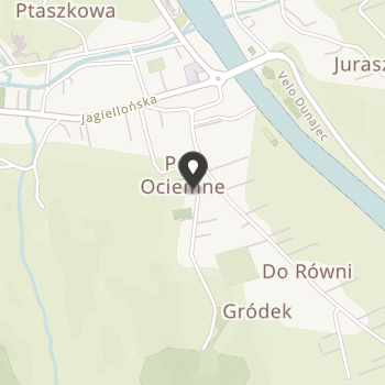 Fundacja Dzieci Pienin na mapie