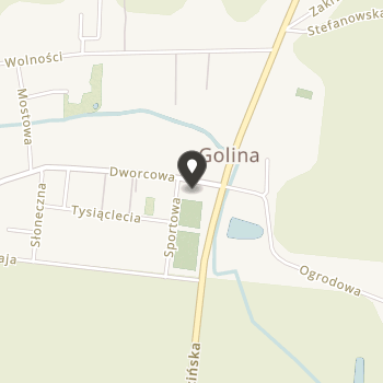 Ochotnicza Straż Pożarna w Golinie na mapie