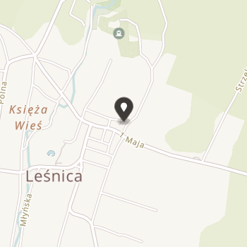 Śląskie Stowarzyszenie Samorządowe na mapie