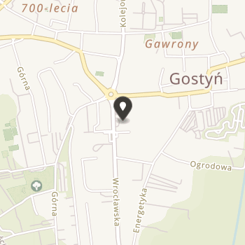 Stowarzyszenie Absolwentów, Wychowawców i Wychowanków Gimnazjum i Liceum w Gostyniu im. Ks. prof. Franciszka Olejniczaka - "Omnes Unum Simus" na mapie