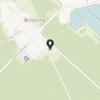 Ochotnicza Straż Pożarna w Brzezinach na mapie