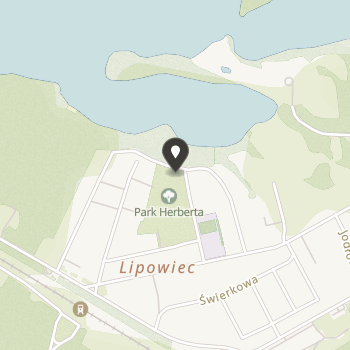 Fundacja Cordis na mapie