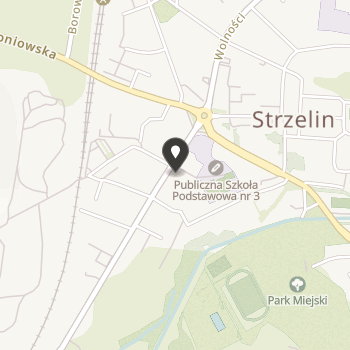 Towarzystwo Rozwoju Regionalnego Strzelin 2000 na mapie