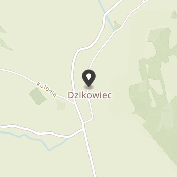 Ochotnicza Straż Pożarna w Dzikowcu na mapie
