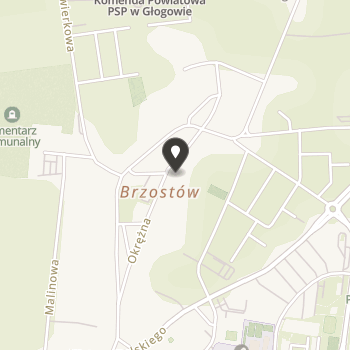 Stowarzyszenie na Rzecz Integracji i Usamodzielniania "Dom w Głogowie" na mapie