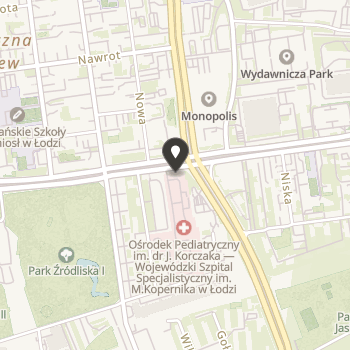 Stowarzyszenie Pomocy Dzieciom z Chorobami Alergicznymi i Zaburzeniami Odporności "Zielony Balonik" na mapie